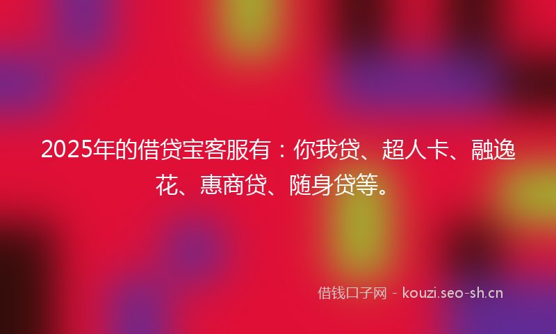 2025年的借贷宝客服有：你我贷、超人卡、融逸花、惠商贷、随身贷等。