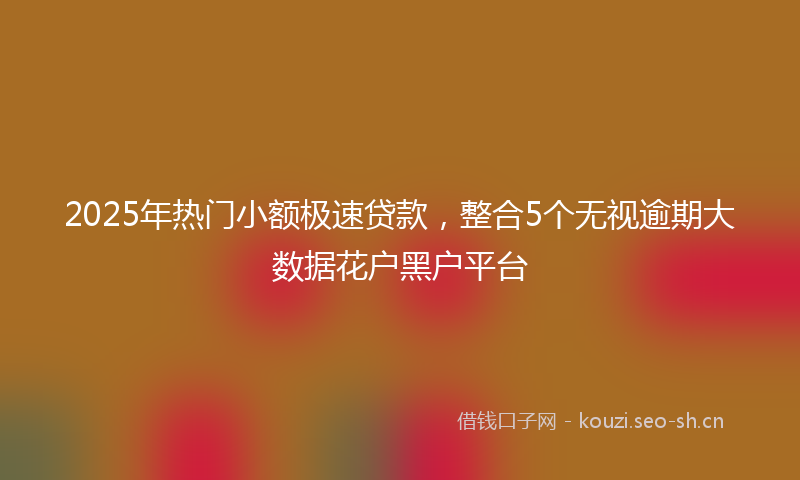 2025年热门小额极速贷款，整合5个无视逾期大数据花户黑户平台
