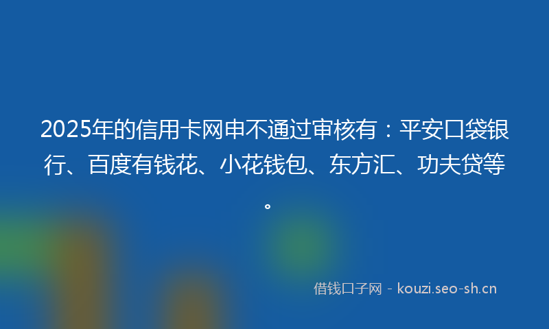 2025年的信用卡网申不通过审核有：平安口袋银行、百度有钱花、小花钱包、东方汇、功夫贷等。