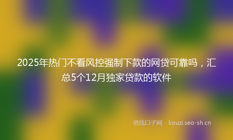 2025年热门不看风控强制下款的网贷可靠吗，汇总5个12月独家贷款的软件
