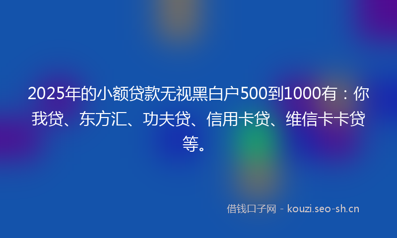 2025年的小额贷款无视黑白户500到1000有：你我贷、东方汇、功夫贷、信用卡贷、维信卡卡贷等。