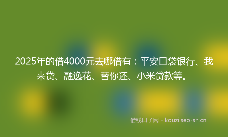 2025年的借4000元去哪借有：平安口袋银行、我来贷、融逸花、替你还、小米贷款等。