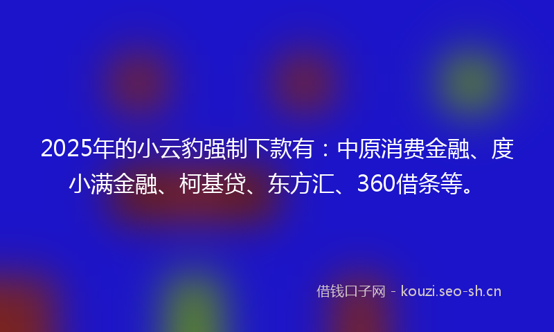2025年的小云豹强制下款有：中原消费金融、度小满金融、柯基贷、东方汇、360借条等。