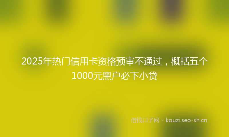 2025年热门信用卡资格预审不通过，概括五个1000元黑户必下小贷