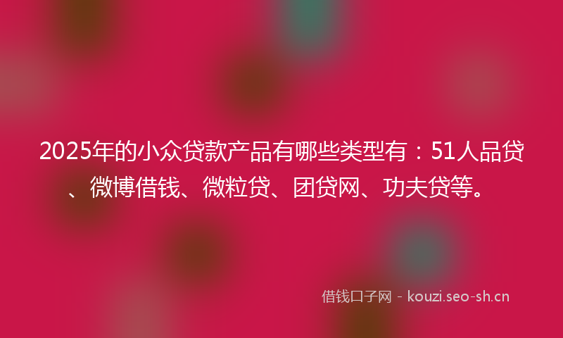 2025年的小众贷款产品有哪些类型有：51人品贷、微博借钱、微粒贷、团贷网、功夫贷等。