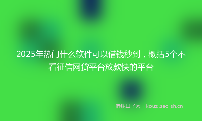 2025年热门什么软件可以借钱秒到，概括5个不看征信网贷平台放款快的平台