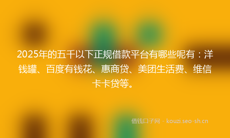 2025年的五千以下正规借款平台有哪些呢有：洋钱罐、百度有钱花、惠商贷、美团生活费、维信卡卡贷等。