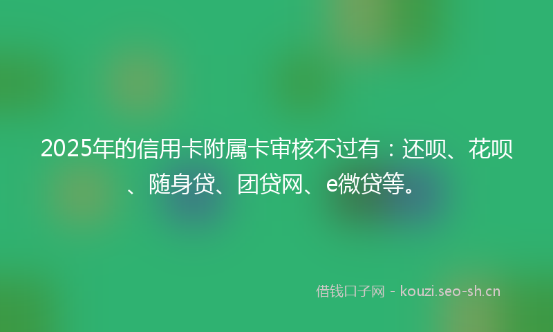 2025年的信用卡附属卡审核不过有：还呗、花呗、随身贷、团贷网、e微贷等。