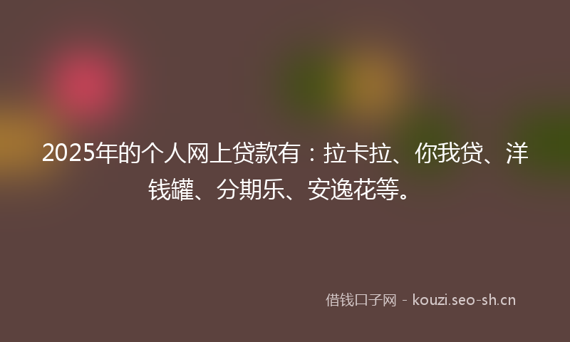 2025年的个人网上贷款有：拉卡拉、你我贷、洋钱罐、分期乐、安逸花等。