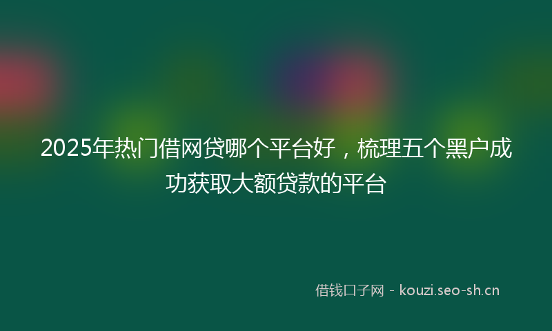 2025年热门借网贷哪个平台好，梳理五个黑户成功获取大额贷款的平台