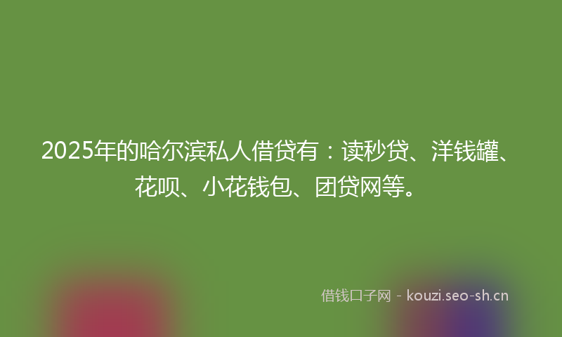 2025年的哈尔滨私人借贷有：读秒贷、洋钱罐、花呗、小花钱包、团贷网等。