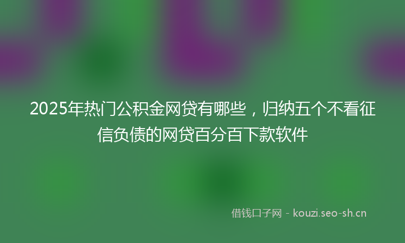 2025年热门公积金网贷有哪些，归纳五个不看征信负债的网贷百分百下款软件