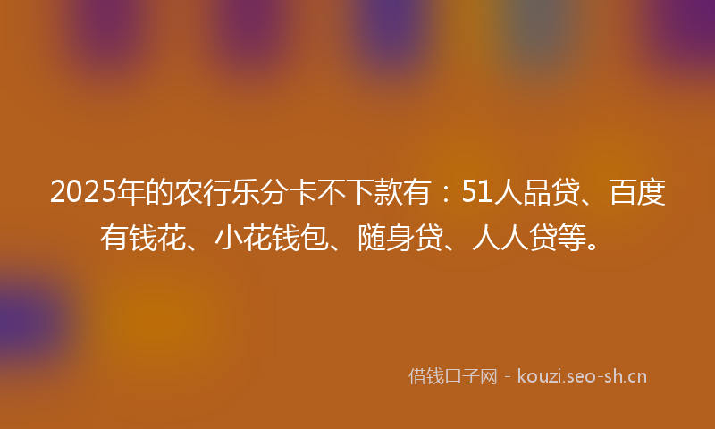 2025年的农行乐分卡不下款有：51人品贷、百度有钱花、小花钱包、随身贷、人人贷等。