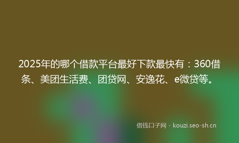 2025年的哪个借款平台最好下款最快有：360借条、美团生活费、团贷网、安逸花、e微贷等。