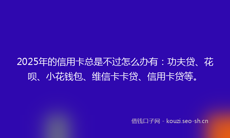2025年的信用卡总是不过怎么办有：功夫贷、花呗、小花钱包、维信卡卡贷、信用卡贷等。