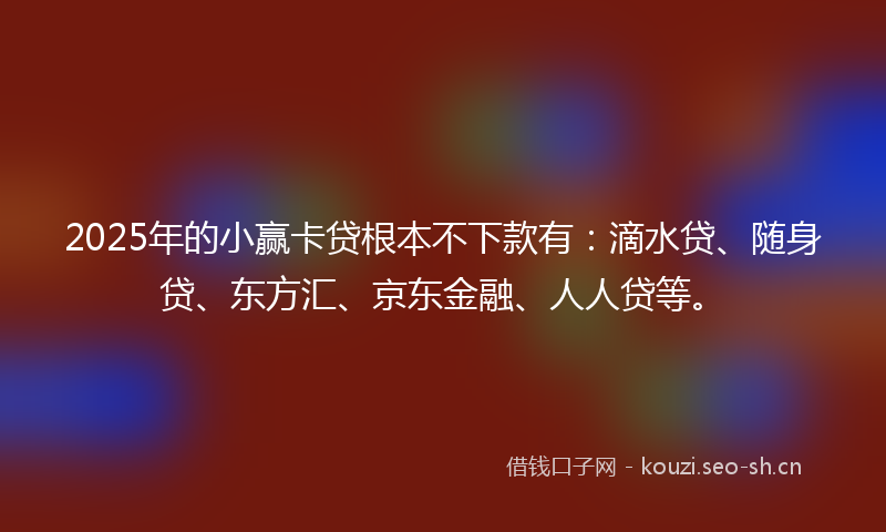 2025年的小赢卡贷根本不下款有：滴水贷、随身贷、东方汇、京东金融、人人贷等。