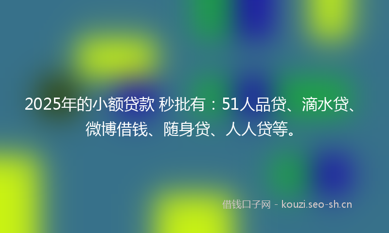 2025年的小额贷款 秒批有：51人品贷、滴水贷、微博借钱、随身贷、人人贷等。