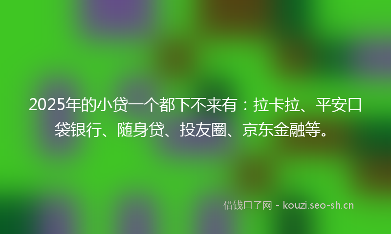 2025年的小贷一个都下不来有：拉卡拉、平安口袋银行、随身贷、投友圈、京东金融等。