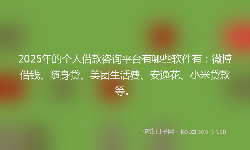 2025年的个人借款咨询平台有哪些软件有：微博借钱、随身贷、美团生活费、安逸花、小米贷款等。