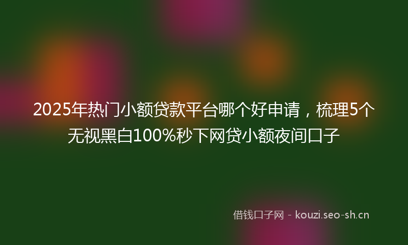 2025年热门小额贷款平台哪个好申请,梳理5个无视黑白100%秒下网贷小额夜间口子