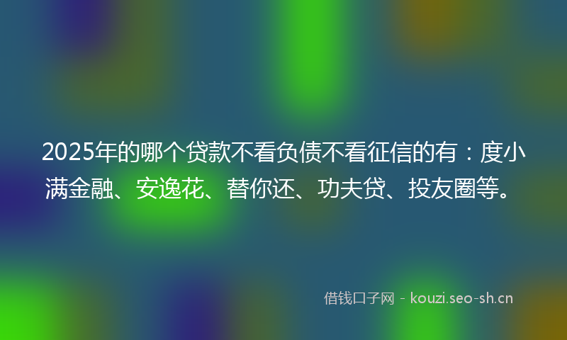 2025年的哪个贷款不看负债不看征信的有：度小满金融、安逸花、替你还、功夫贷、投友圈等。