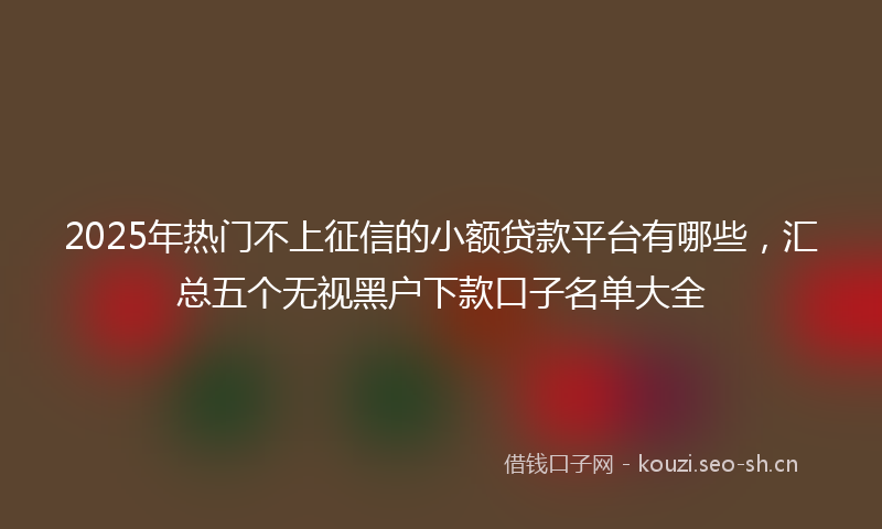 2025年热门不上征信的小额贷款平台有哪些，汇总五个无视黑户下款口子名单大全