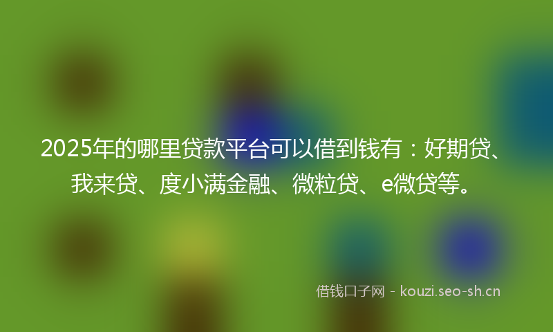 2025年的哪里贷款平台可以借到钱有：好期贷、我来贷、度小满金融、微粒贷、e微贷等。