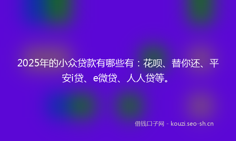2025年的小众贷款有哪些有：花呗、替你还、平安i贷、e微贷、人人贷等。