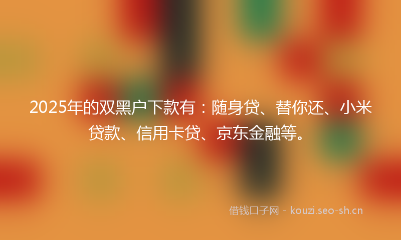 2025年的双黑户下款有：随身贷、替你还、小米贷款、信用卡贷、京东金融等。