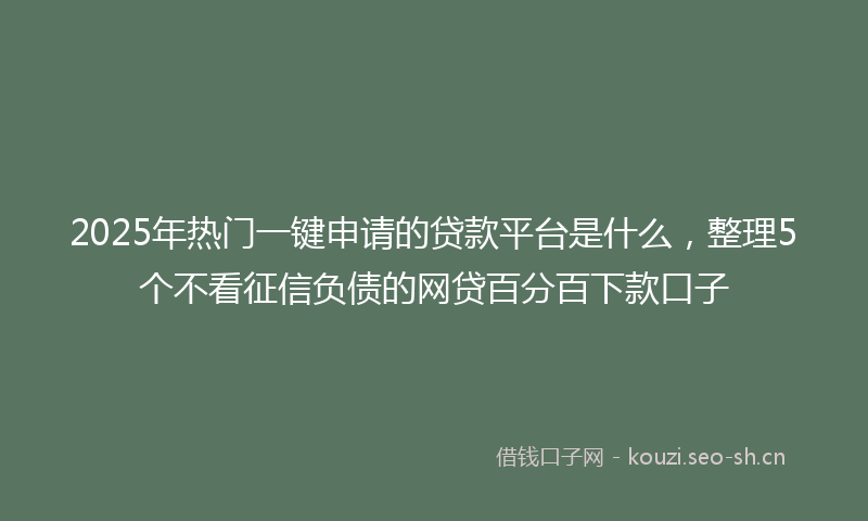 2025年热门一键申请的贷款平台是什么，整理5个不看征信负债的网贷百分百下款口子