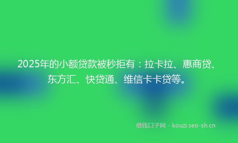 2025年的小额贷款被秒拒有：拉卡拉、惠商贷、东方汇、快贷通、维信卡卡贷等。