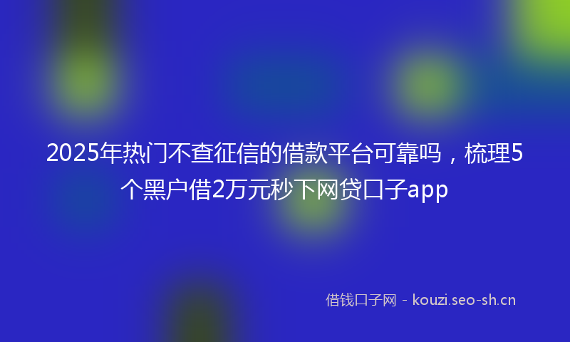 2025年热门不查征信的借款平台可靠吗，梳理5个黑户借2万元秒下网贷口子app