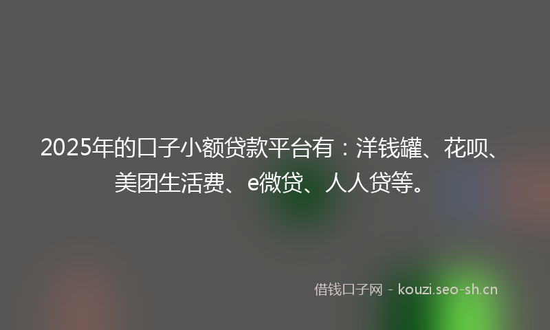 2025年的口子小额贷款平台有:洋钱罐、花呗、美团生活费、e微贷、人人贷等。