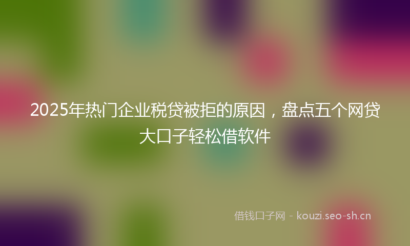 2025年热门企业税贷被拒的原因，盘点五个网贷大口子轻松借软件