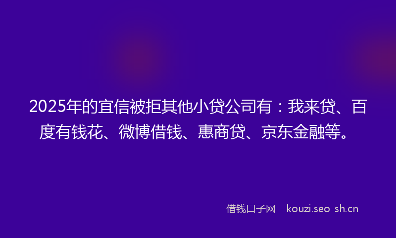 2025年的宜信被拒其他小贷公司有：我来贷、百度有钱花、微博借钱、惠商贷、京东金融等。