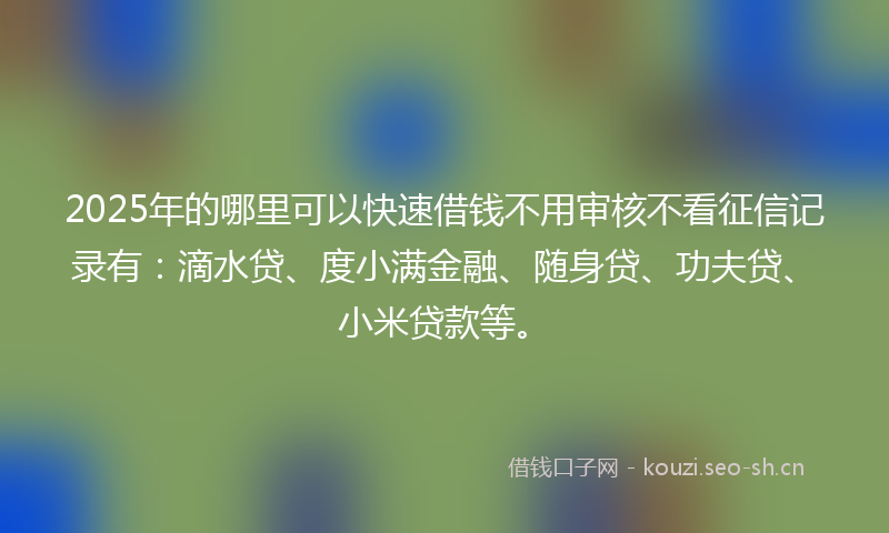 2025年的哪里可以快速借钱不用审核不看征信记录有：滴水贷、度小满金融、随身贷、功夫贷、小米贷款等。