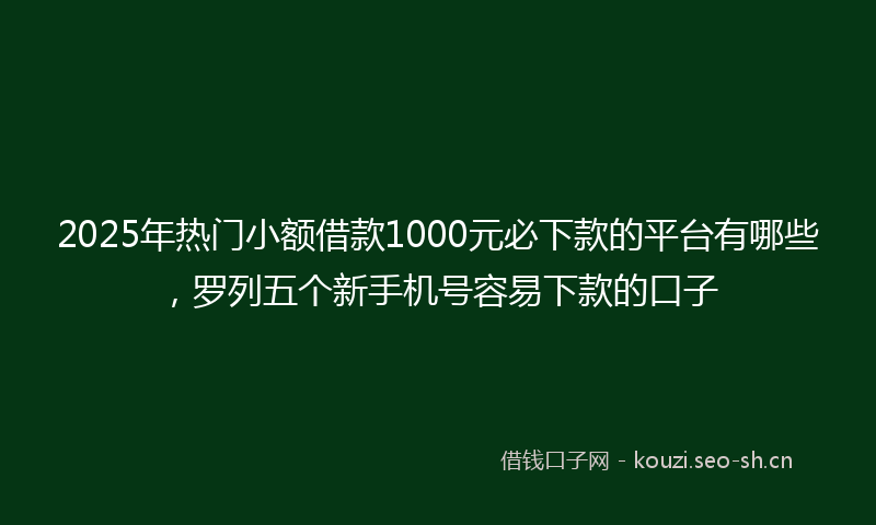 2025年热门小额借款1000元必下款的平台有哪些，罗列五个新手机号容易下款的口子