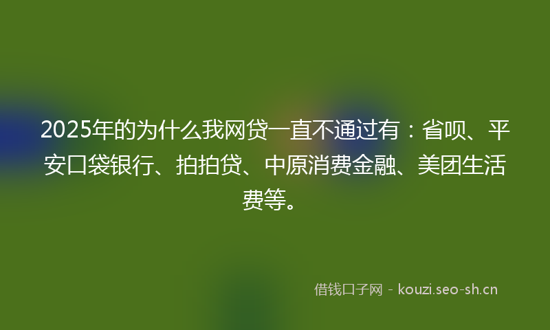2025年的为什么我网贷一直不通过有：省呗、平安口袋银行、拍拍贷、中原消费金融、美团生活费等。