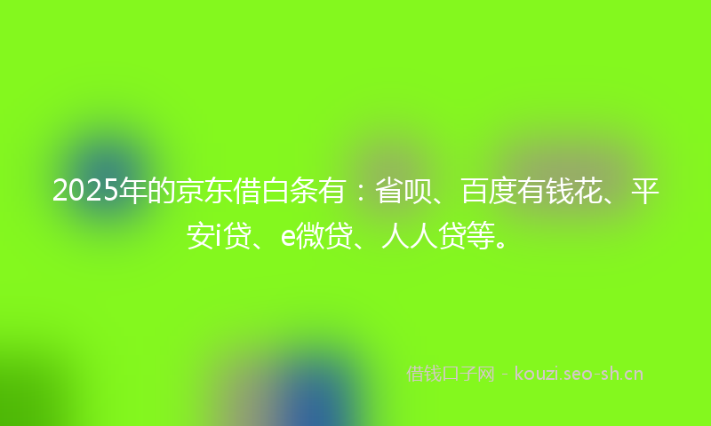 2025年的京东借白条有：省呗、百度有钱花、平安i贷、e微贷、人人贷等。