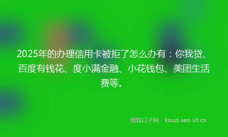 2025年的办理信用卡被拒了怎么办有：你我贷、百度有钱花、度小满金融、小花钱包、美团生活费等。