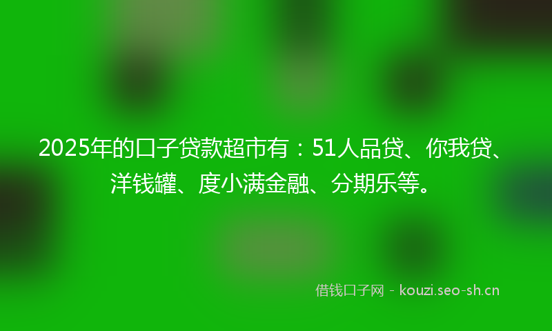 2025年的口子贷款超市有：51人品贷、你我贷、洋钱罐、度小满金融、分期乐等。