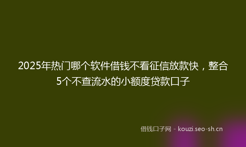 2025年热门哪个软件借钱不看征信放款快，整合5个不查流水的小额度贷款口子