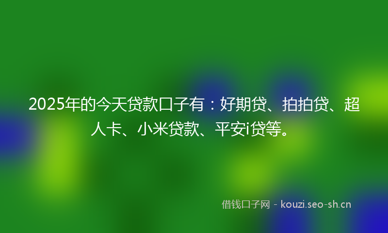 2025年的今天贷款口子有：好期贷、拍拍贷、超人卡、小米贷款、平安i贷等。