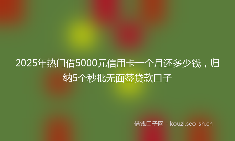2025年热门借5000元信用卡一个月还多少钱，归纳5个秒批无面签贷款口子