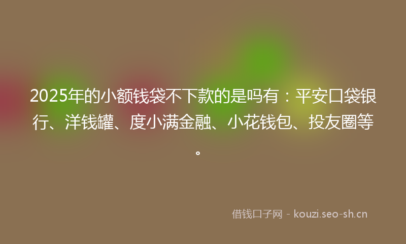 2025年的小额钱袋不下款的是吗有：平安口袋银行、洋钱罐、度小满金融、小花钱包、投友圈等。