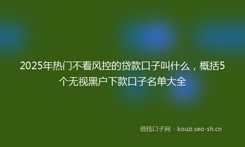 2025年热门不看风控的贷款口子叫什么，概括5个无视黑户下款口子名单大全