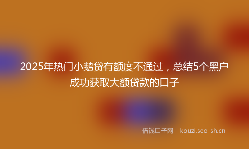 2025年热门小鹅贷有额度不通过，总结5个黑户成功获取大额贷款的口子