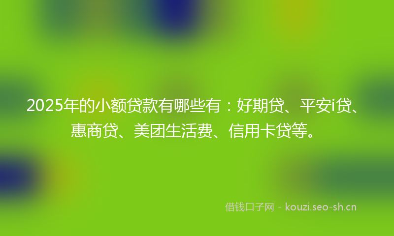 2025年的小额贷款有哪些有：好期贷、平安i贷、惠商贷、美团生活费、信用卡贷等。