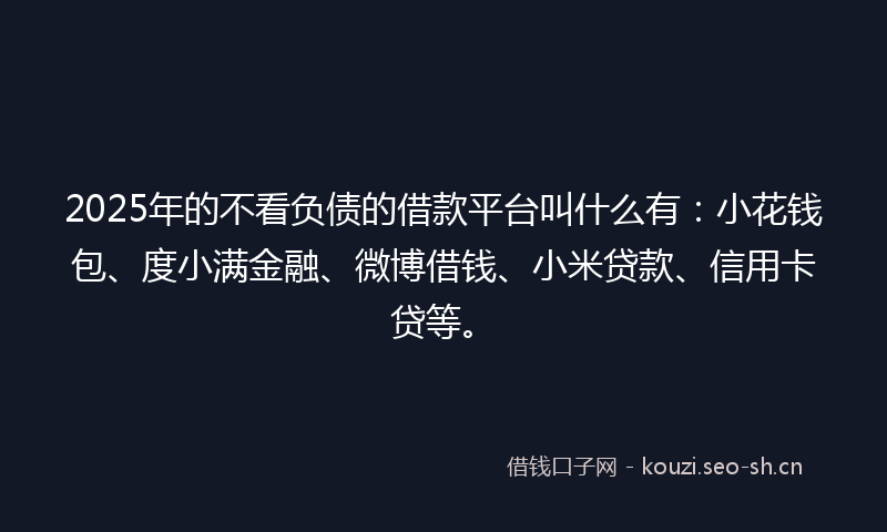 2025年的不看负债的借款平台叫什么有：小花钱包、度小满金融、微博借钱、小米贷款、信用卡贷等。