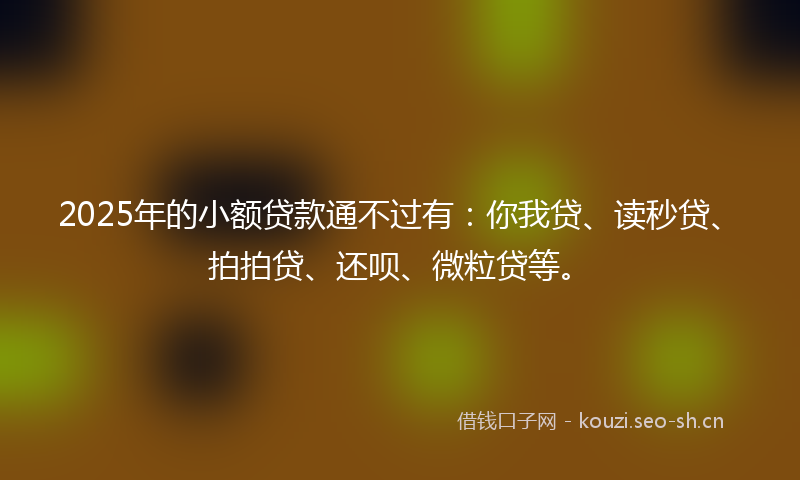 2025年的小额贷款通不过有：你我贷、读秒贷、拍拍贷、还呗、微粒贷等。